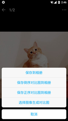 猫咪成长记app