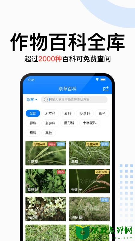 识农app下载